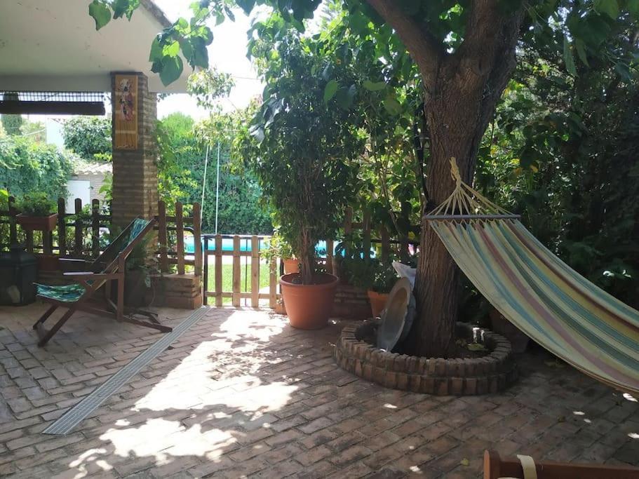 Dormir Entre Limones, Casa De Invitados En Vivienda Familiar Dos Hermanas Εξωτερικό φωτογραφία